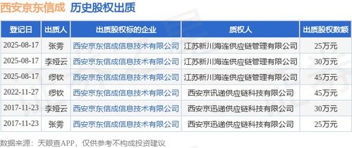 西安京東信成股權(quán)出質(zhì)，涉及金額45萬(wàn)元，聚焦技術(shù)咨詢服務(wù)