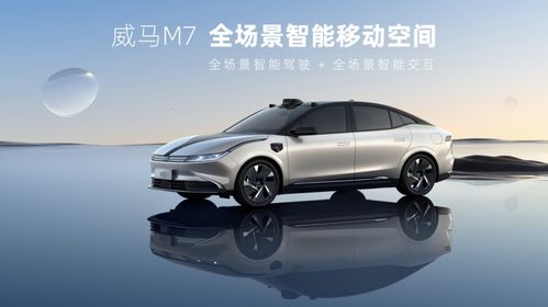 威馬汽車沖刺港股 募資10億美元的機(jī)遇與挑戰(zhàn)